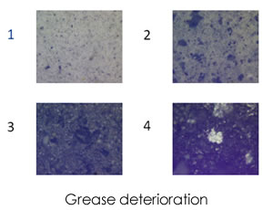 著細鐵和磁性磨損顆粒的增加，回轉軸承的惡化，第四張圖像顯示潤滑脂完全干燥